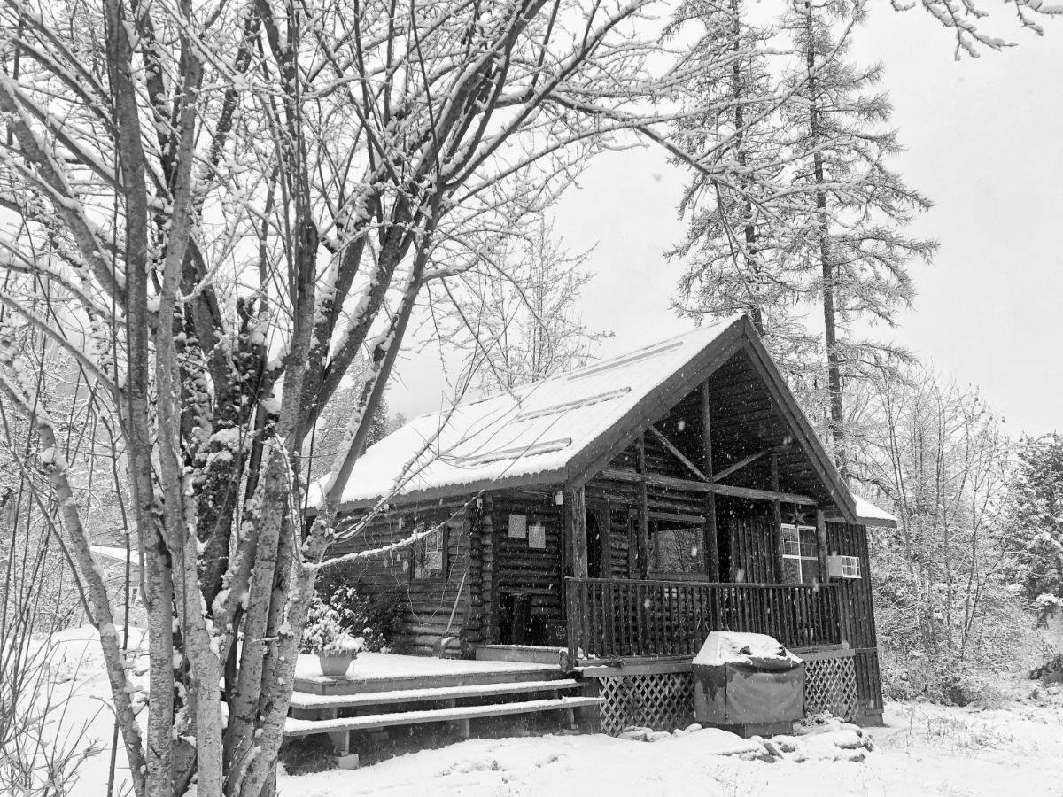 Morning Star Log * Nelson